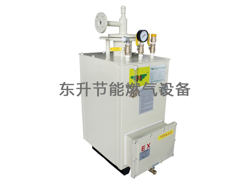 蜜桃视频无码区在线观看(LPG)防爆型蜜桃精品一区二区三区器(DS30—50kg／h)
